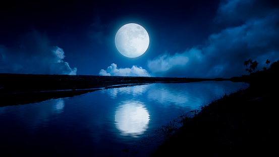 Dramatic night sky with full moon and trees silhouette