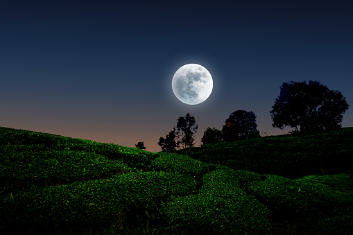 Night landscape in green farmland with full moon and clear sky