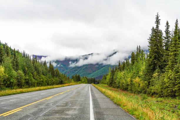 istock Alaska Mountain Range Highway in Summer, Alaska, USA 1422078701
