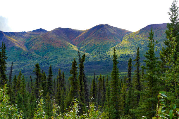 Alaska Mountain Range as seen from the Alaskan Highway (AK 2) following the Tanana  River in the interior of Alaska. Close-up