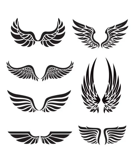 Vector illustration of silhouette wings emblem collection