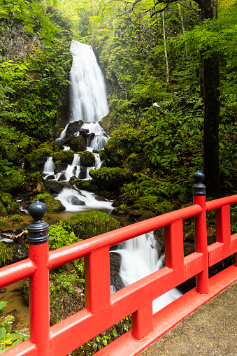 Fudonotaki, Hachimantai. An old-style Japanese redwood railing bridge in the foreground with gorgeous falls in the background and lush green foliage.