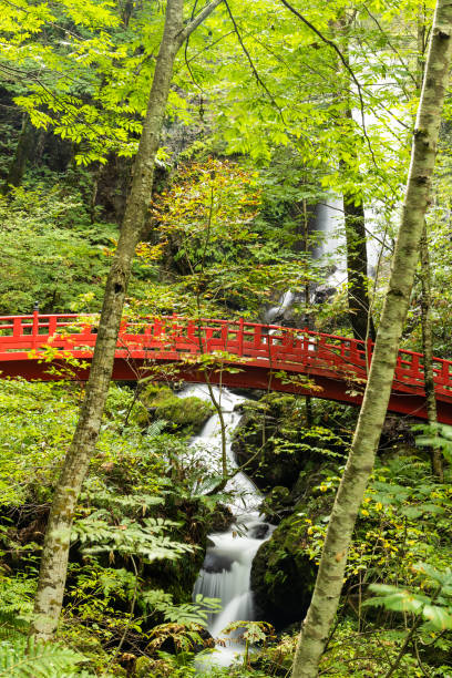 istock Beautiful waterfalls with red Japanese walking bridge 1422081636