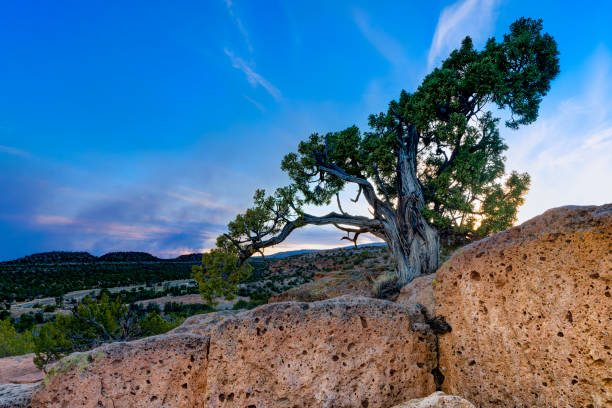 sezione tsankawi del bandelier national monument al tramonto. fumo dal fuoco boschivo nel cielo. nuovo messico, stati uniti - bandelier national monument foto e immagini stock