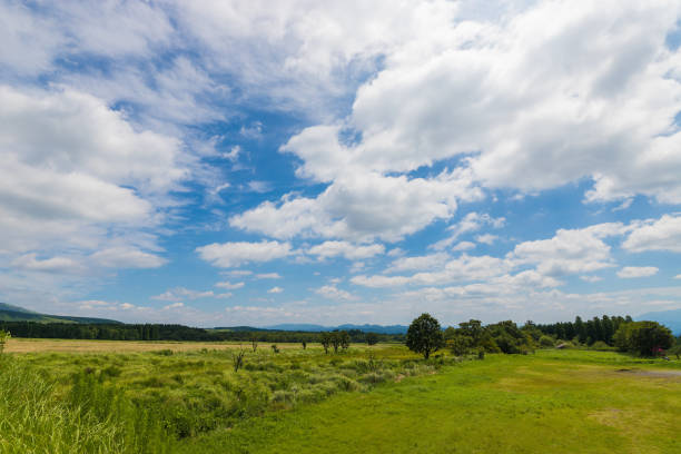 Daytime view of Kuju Highlands in Taketa City, Oita Prefecture, Japan