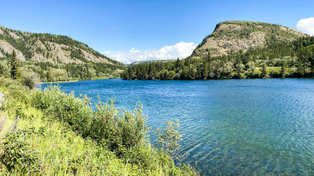 istock Lakes of Interior Alaska 1422101298