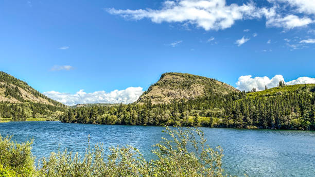 istock Lakes of Interior Alaska 1422101337