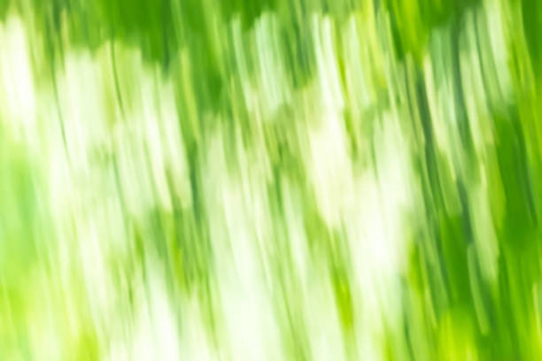 istock Abstract blur light gradient green and white soft pastel color wallpaper background. 1422108320