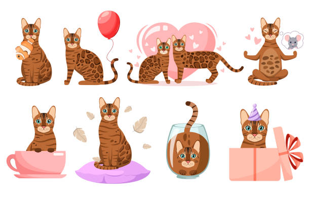 ilustraciones, imágenes clip art, dibujos animados e iconos de stock de un conjunto de divertidos gatos de bengala - bengals