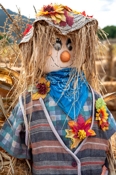 istock Portrait of a scarecrow 1422110741