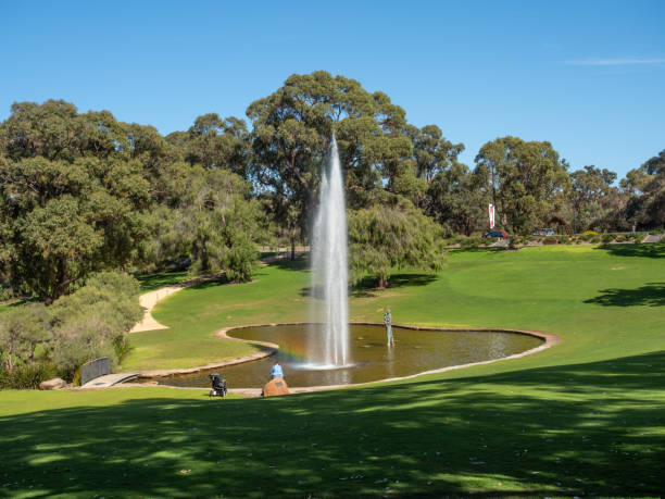 Fountain in Kings Park, Perth Perth, Australia - September 9, 2022: The Pioneer Women's Memorial is located in the Western Australian Botanic Garden in Kings Park in Perth, Western Australia. It comprises a lake, a statue and a fountain. kings park stock pictures, royalty-free photos & images