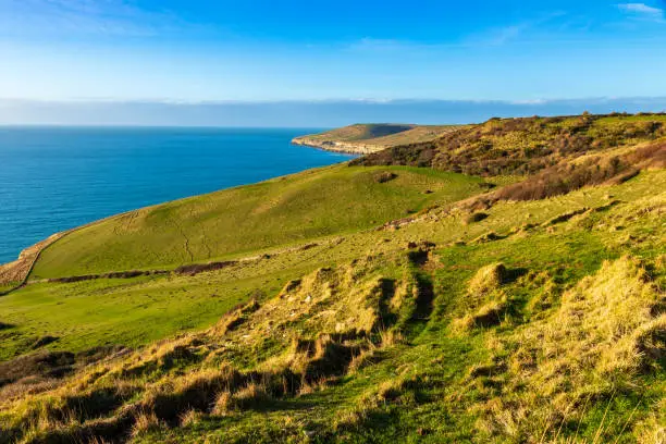 Beautiful January morning on the Purbeck and Jurassic coast near Dancing Ledge Dorset South West England UK