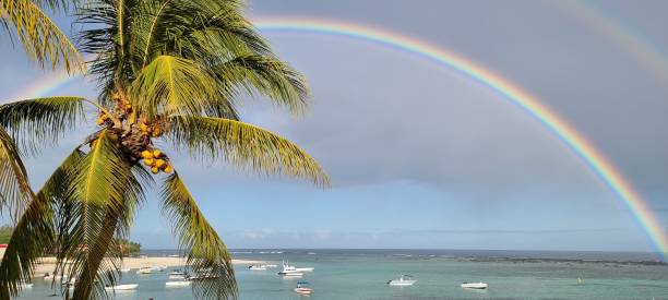 istock Double Rainbow over the ocean on a beach with palm trees. 1422124073