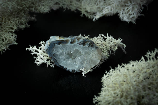 istock Chalcedony geode from Brazil. Natural mineral stone on a black background surrounded by moss. Mineralogy, geology, magic, semi-precious stones and samples of minerals. Close-up macro photo 1422132536
