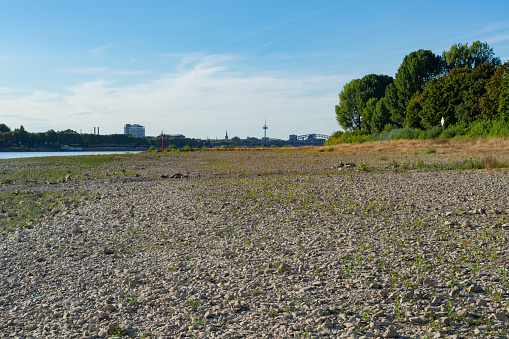 Low water level on right bank of Rhein river