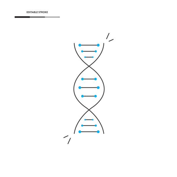 ilustrações, clipart, desenhos animados e ícones de design vetorial do ícone de dna. - cytosine