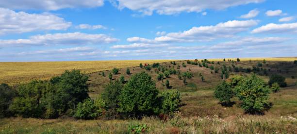 istock Field and valley in Ukraine (Podillia region) 1422141898