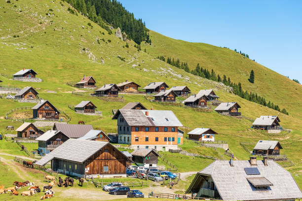 маленькая деревня в карнийских альпах - италия-австрия граница каринтия - house wood dirt road footpath стоковые фото и изображения