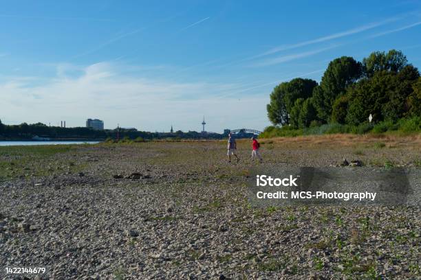 Bank Of Rhein River In Cologne Stock Photo - Download Image Now - Cologne, Accidents and Disasters, Arid Climate