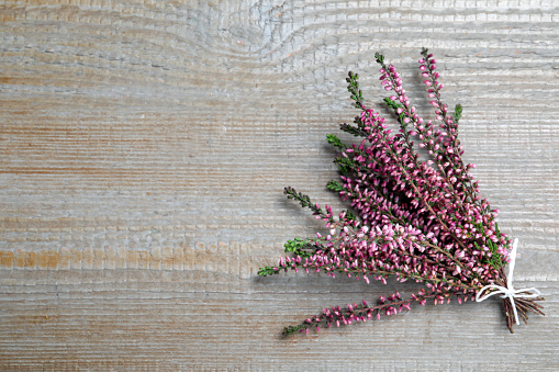 Bunch of heather branches with beautiful flowers on grey wooden table, top view. Space for text