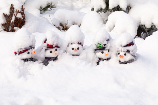 Five snowmen stuck in a snow storm. Cute characters with hats and scarfs in a snow covered garden in Norfolk England
