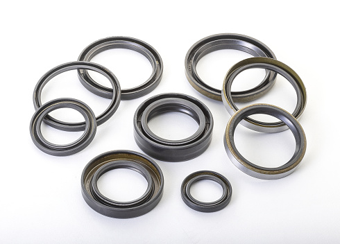 group of oil seals used in automotive and other engineering applications