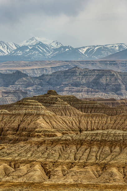 istock Earth forest landform in Zada County 1422159199