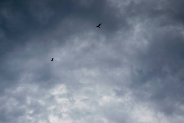 istock Dramatic sky and warm light clouds at sunrise time. 1422167115