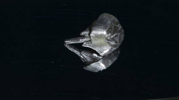 istock Metallic post and core build-up for molar crown infrastructure. 1422168358