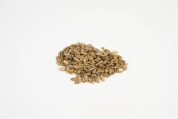 Sunflower seed on white background. Isolated