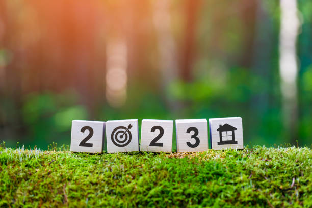 Goal house 2023. Goal house 2023. Wooden cubes with numbers 2023, target and house icon on mossy fallen tree in summer forest in focus. Background blurred. green building blocks stock pictures, royalty-free photos & images