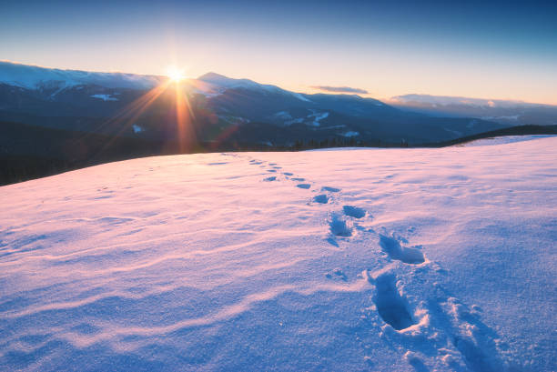 istock The track of footprints on a fresh snow 1422189600