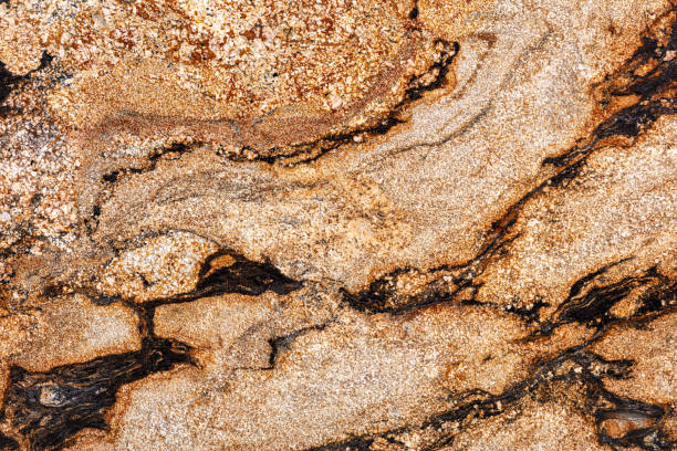 istock Natural Sedna granite background, beautiful texture for individual design work. 1422194492