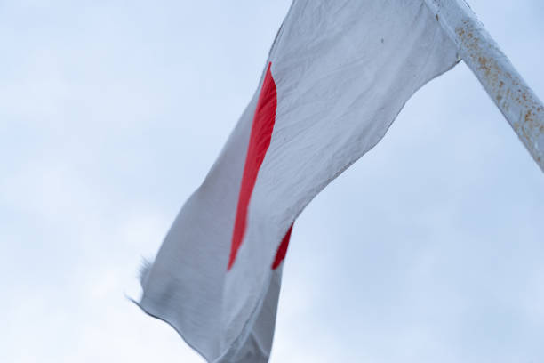 istock Japanese flag swaying in the wind 1422194942