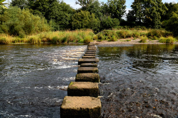 istock Stepping Stones Across a Flowing Rural River 1422194951
