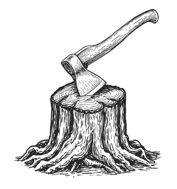 kikut z zablokowanym szkicem siekiery. cięcie drewna i pozyskiwanie drewna. narzędzie drwala do rąbania drewna. stolarstwo, tarcica naturalna - axe stock illustrations