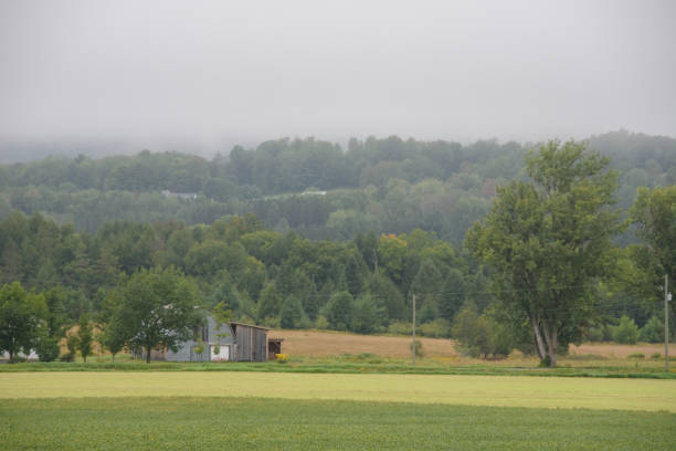 istock Morning mist over a field 1422198389