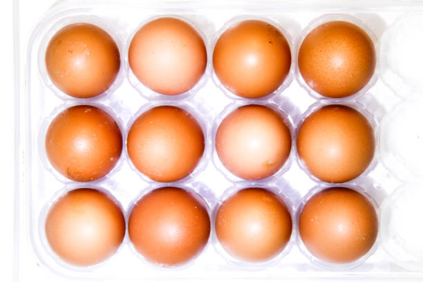 Balanced chicken egg on two forks on white background, copy space