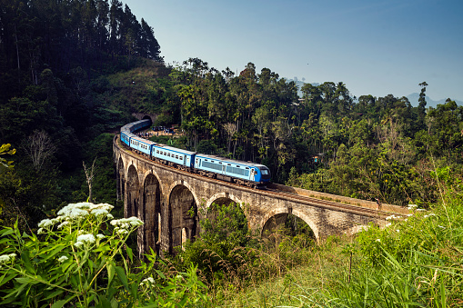 Blue train crosses the Nine Arch Bridge, Demodara, Sri Lanka