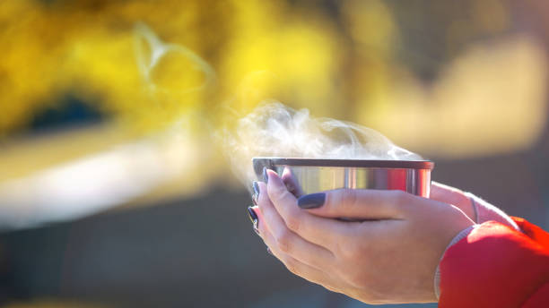 Girl hold in Hands hot Cup tea, poured from a thermos in the Park on a bench on an Autumn day. The concept of comfort and Cozy. Person in Solitude with Nature. Leisurely Lifestyle. Closeup. stock photo