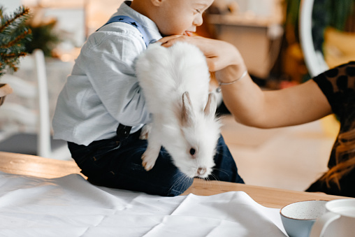 A little boy with Down Syndrome is holding a small fluffy rabbit in his hands. Little boy with special needs. The child plays with a pet, a white rabbit.