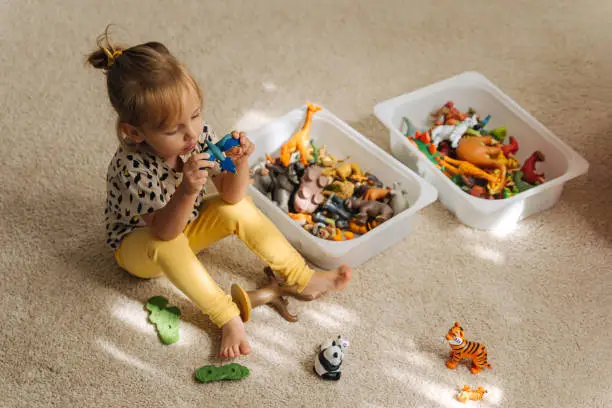 Photo of A little girl playing with toy animals and wooden blocks in nursery. Kid and toys with storage baskets. Educational game. Learning through play. Montessori material concept for toddlers.