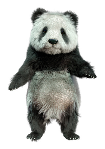 3D rendering of a panda bear isolated on white background