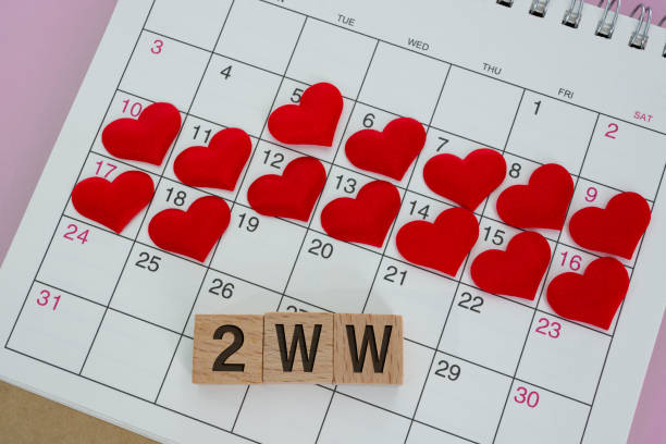 2WW word on wooden block with red heart shape on calendar. Two Week Wait concept stock photo
