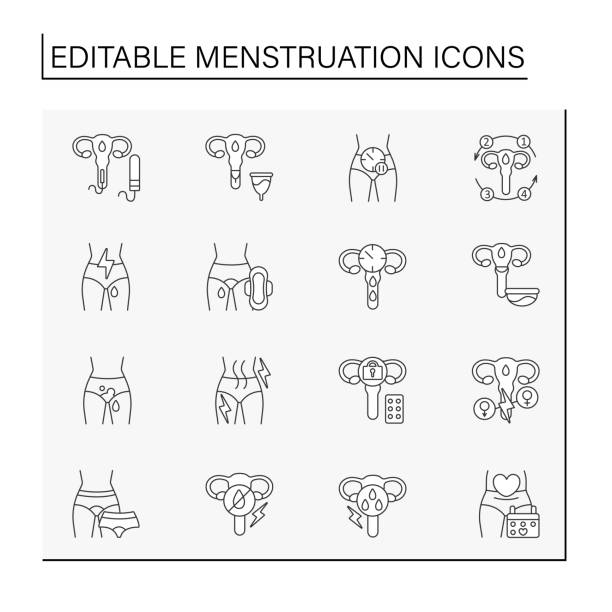 ilustraciones, imágenes clip art, dibujos animados e iconos de stock de conjunto de iconos de línea de menstruación - menstruation tampon gynecological examination sex