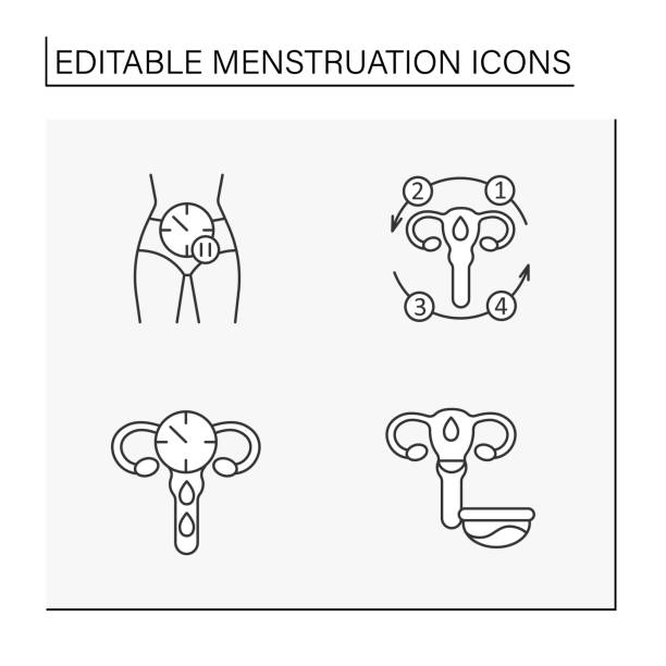 ilustraciones, imágenes clip art, dibujos animados e iconos de stock de conjunto de iconos de línea de menstruación - menstruation tampon gynecological examination sex