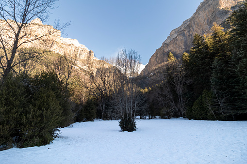 pyrenees mountains in ordesa national park in northern spain