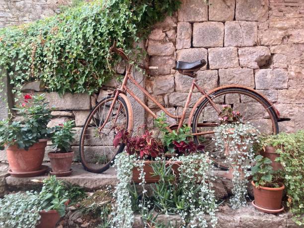 istock Bicycle in the garden 1422219364