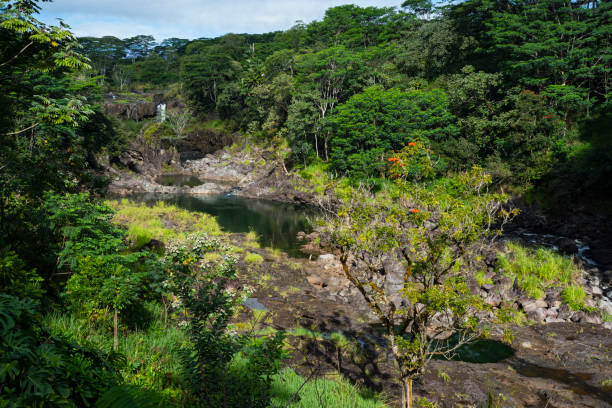 istock wailuku river state park landscape 1422228281