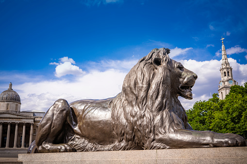 Some things you'll find on the streets of London the telephone booths, statues, and buses of all kinds. They are called the Landseer Lions and they are in Trafalgar Square in London. The artist was Edwin Landseer and they were designed in 1858.